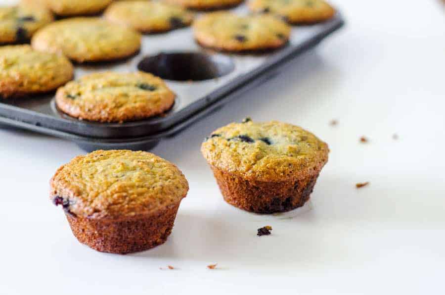 2 coconut flour blueberry muffins on table with pan in background