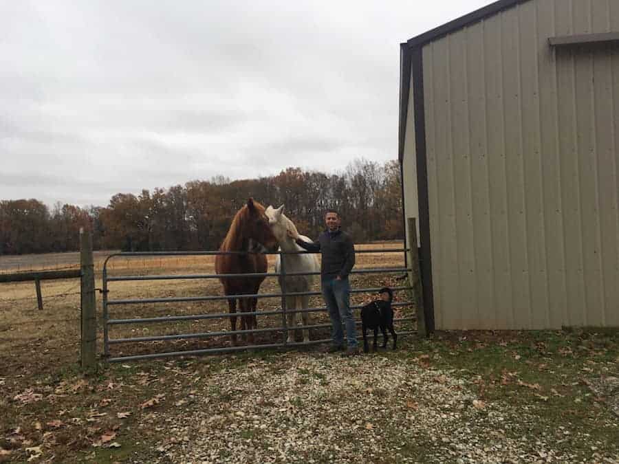 man and dog with 2 horses on farm