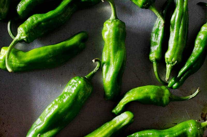 Overhead view of bright green raw shishito peppers on tray