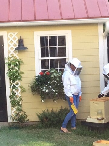 beekeepers with backyard beehive