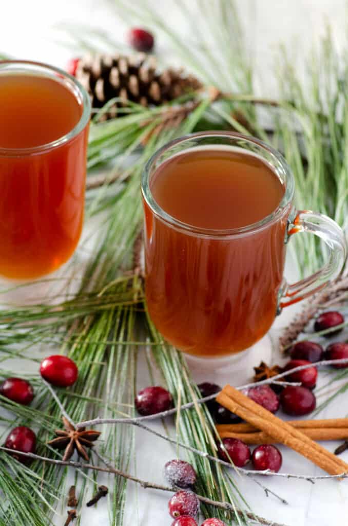 close up vertical image of a glass mug filled with cider holiday cocktail surrounded by pine branches, cranberries, and cinnamon sticks