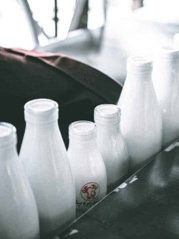 white milk bottles in a line