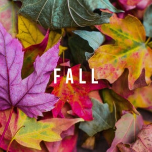 Fall