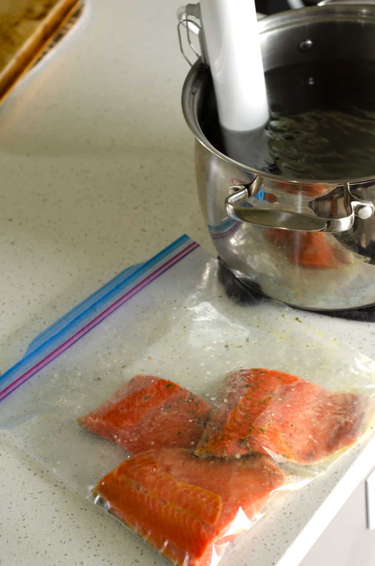 sous vide in a pot heating water with a bag of salmon filets on counter