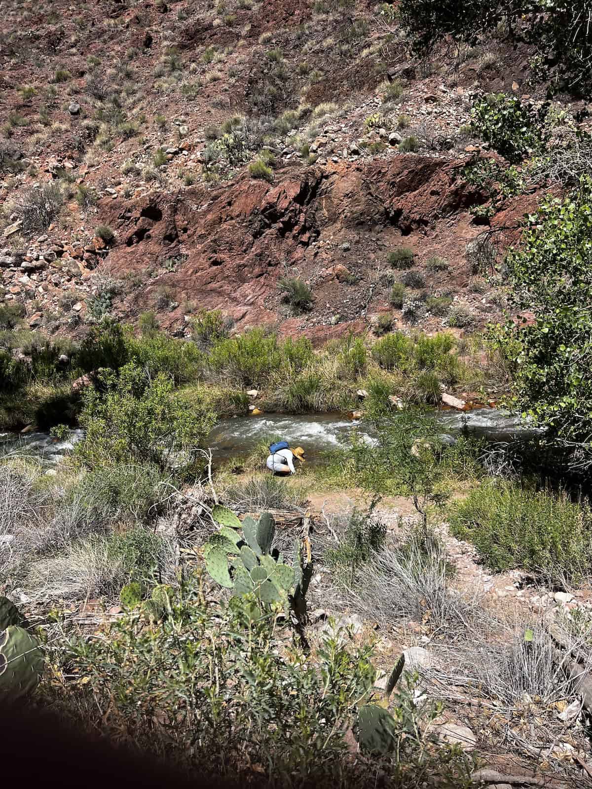 man kneeling next to bright angel creek at bottom of grand canyon