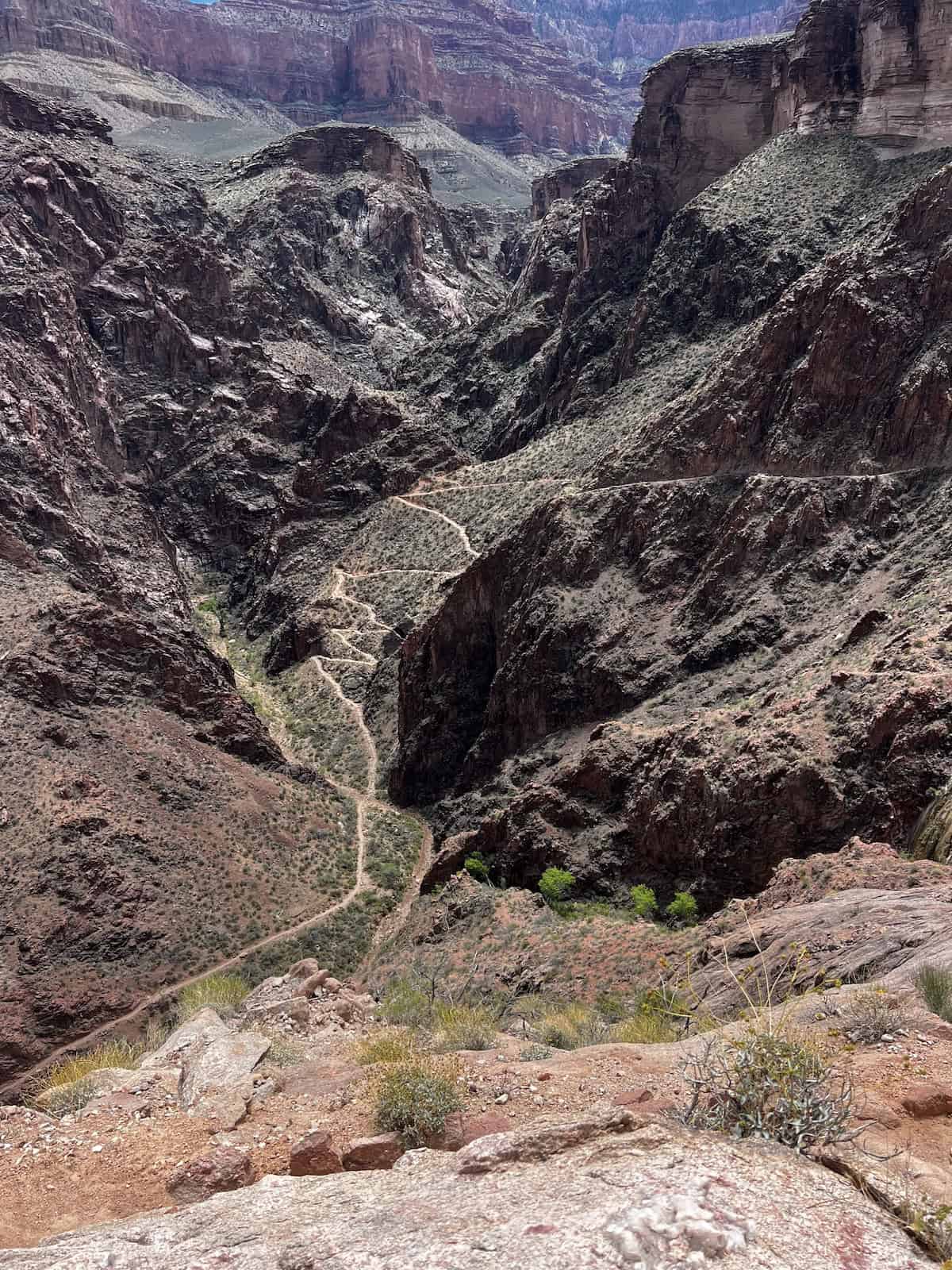 devils corkscrew on bright angel trail grand canyon